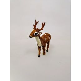 Олень средний Олень средний