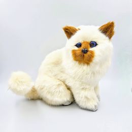 Кошка сиамская (б) 17*18