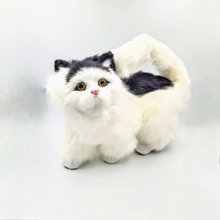 Кот Виталий 28*20 оптом