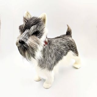 Собака Шнауцер (ср) оптом Собака Шнауцер (ср) оптом