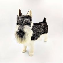 Собака Шнауцер (б)