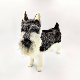 Собака Шнауцер (б) Собака Шнауцер (б)