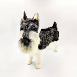 Собака Шнауцер (б) оптом