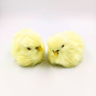 Цыплята суточные без музыки 8*6 оптом