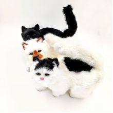 Кот Виталий в ассортименте 20*26