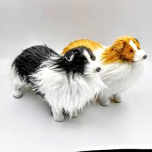 Собака Колли малая