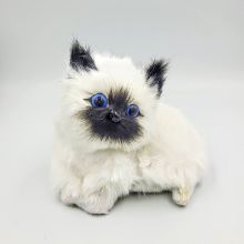 Котёнок Сиамский Мяу 9*11