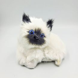 Котёнок Сиамский Мяу 9*11