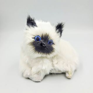 Котёнок Сиамский Мяу 9*11 оптом